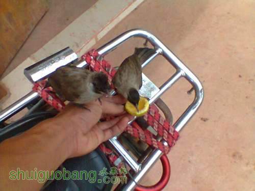 ��Ƭ0330.jpg