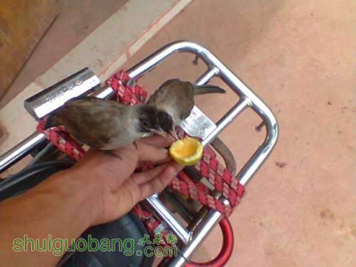 ��Ƭ0329.jpg