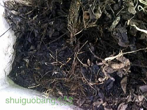 IMG-20120914-00027.jpg