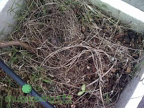 IMG-20120914-00025.jpg