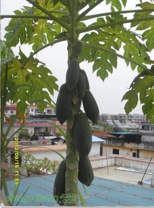 ľ2.jpg
