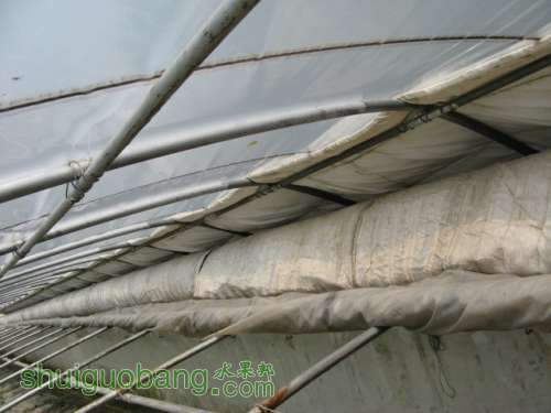 IMG_1257.JPG