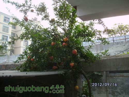 DSCK0005.JPG
