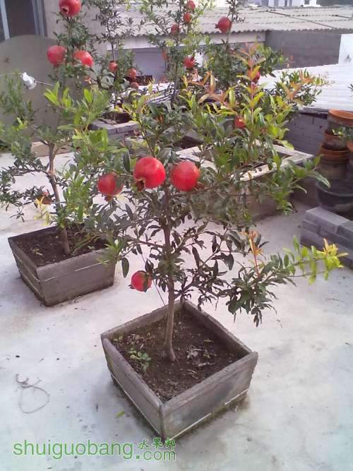 20120910075.jpg