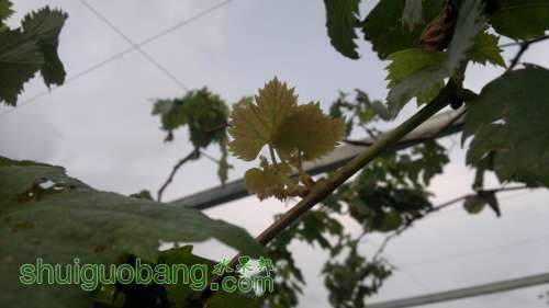 2012-09-09-1535.jpg