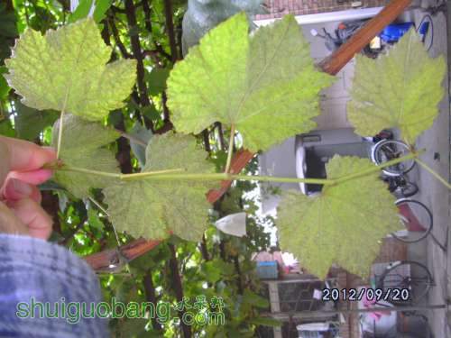 DSCK0032.JPG