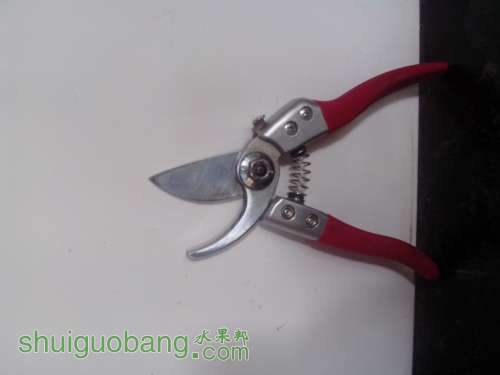 IMG20120922006.jpg