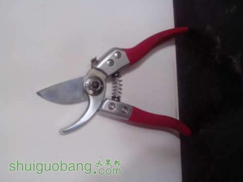 IMG20120922004.jpg