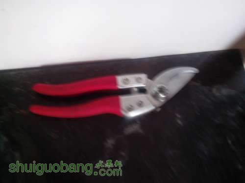 IMG20120922019.jpg