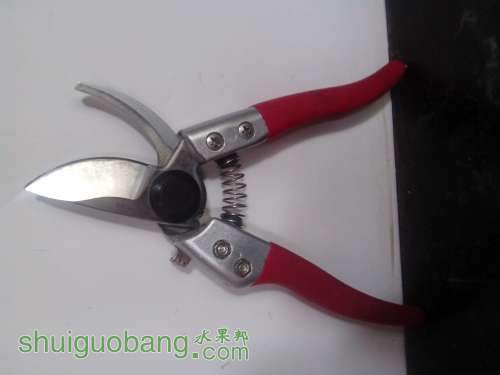 IMG20120922003.jpg