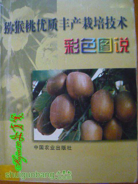 13165661m76m7xamaflzzx.jpg