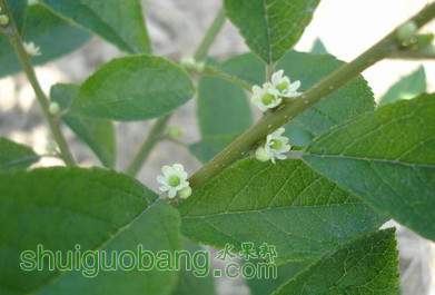2011126150136_����.jpg