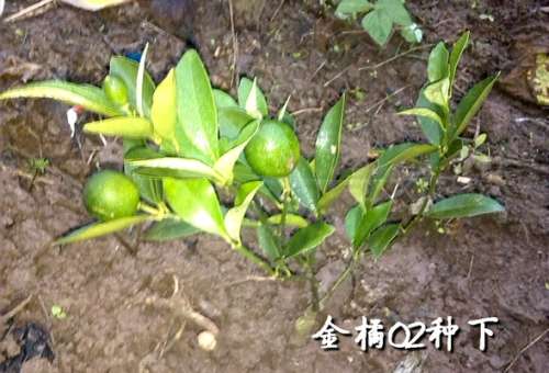 IMG_20120927_065434.jpg