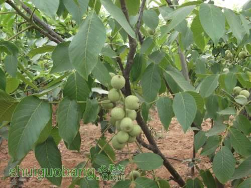 ׺J6ǰĺ 178.jpg