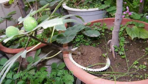 nEO_IMG_100_0408.jpg