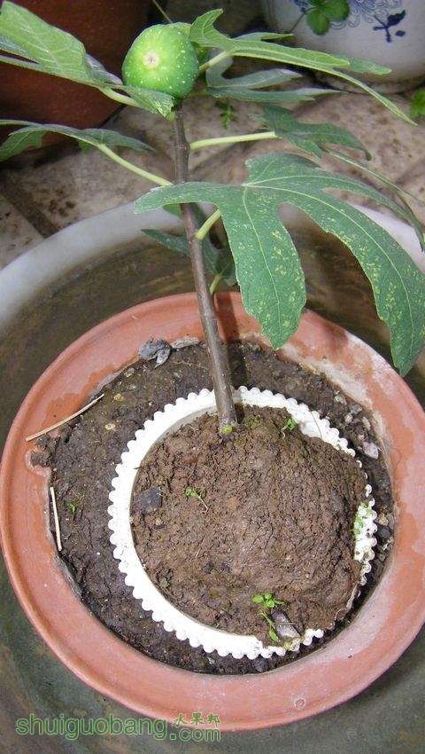 nEO_IMG_100_0410.jpg