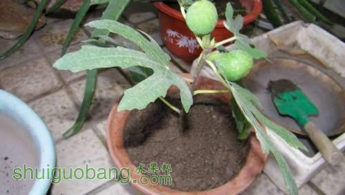 nEO_IMG_100_0414.jpg