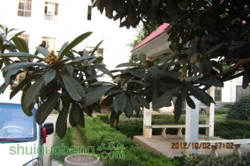 IMG_5876.JPG