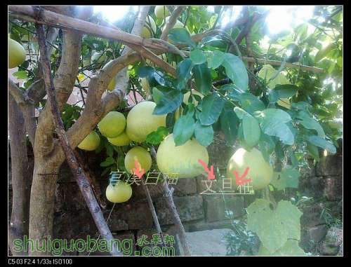 nEO_IMG_20120920604.jpg