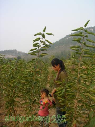 SANY0482.JPG