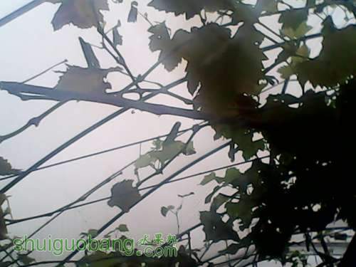 IMG_20121006_100641.jpg