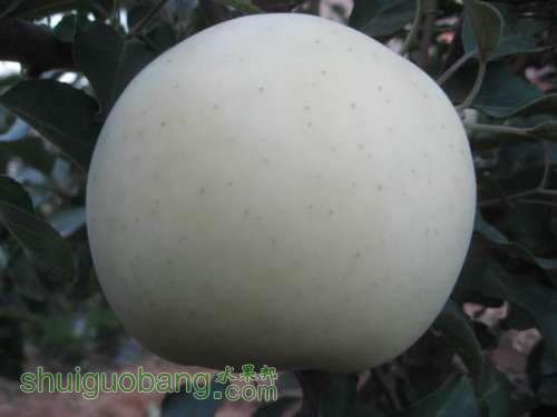 20121007ʿʼѴ 005.jpg