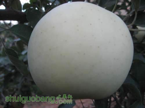 20121007ʿʼѴ 008.jpg