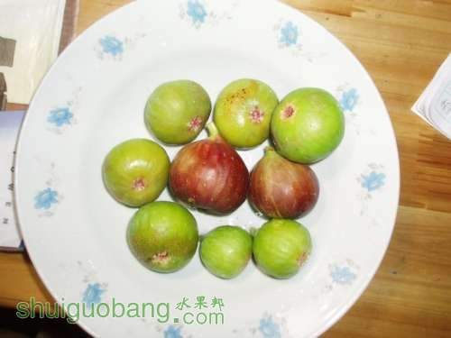 4ӺӰ.JPG
