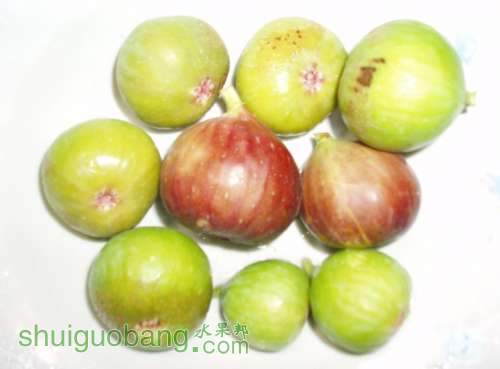 3յĹӺӰ.JPG