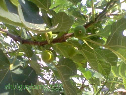 2012-10-04 14.58.39.jpg