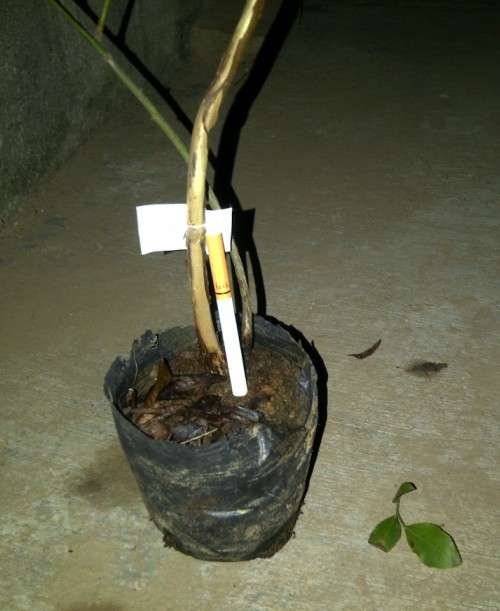 ԰.jpg