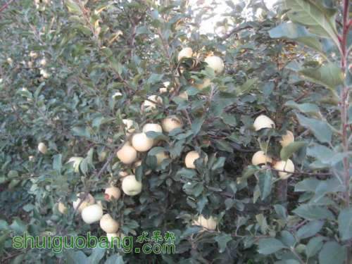 20121010СѴ{翪ʼ} 001.jpg