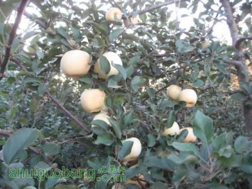 20121010СѴ{翪ʼ} 003.jpg