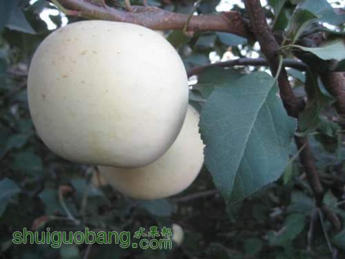 20121010СѴ{翪ʼ} 006.jpg