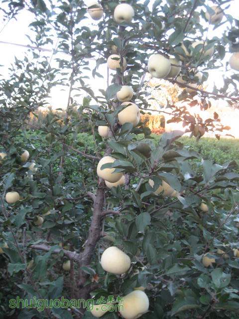 20121010СѴ{翪ʼ} 009.jpg