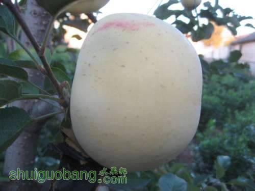 20121010СѴ{翪ʼ} 010.jpg