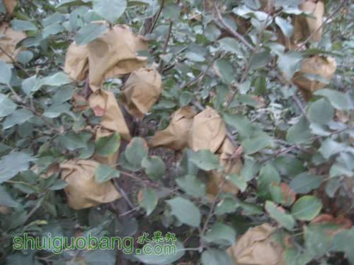 20121010СѴ{翪ʼ} 016.jpg