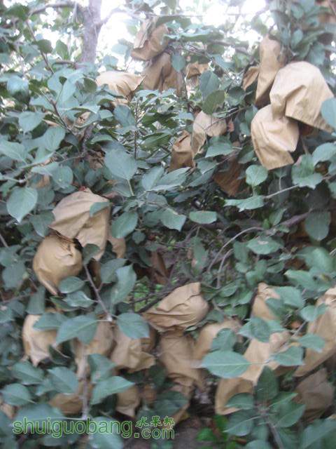 20121010СѴ{翪ʼ} 020.jpg