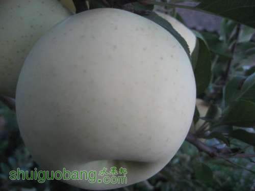 20121010СѴ{翪ʼ} 031.jpg