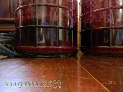 DSCN2048.jpg
