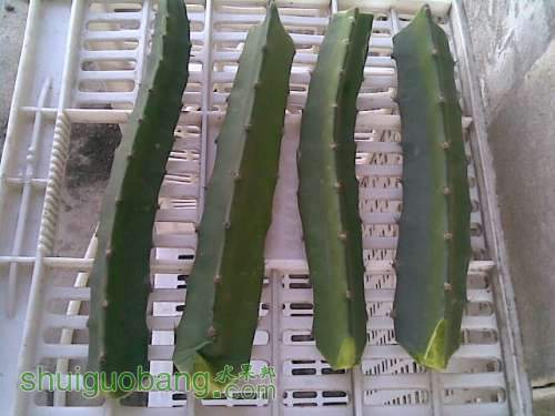20120429(007).jpg