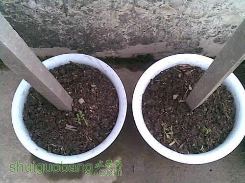 20120430(002).jpg