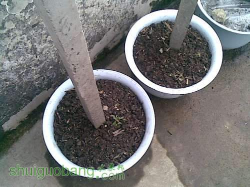 20120430(005).jpg