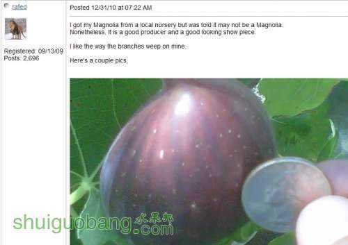 δ����ml.jpg