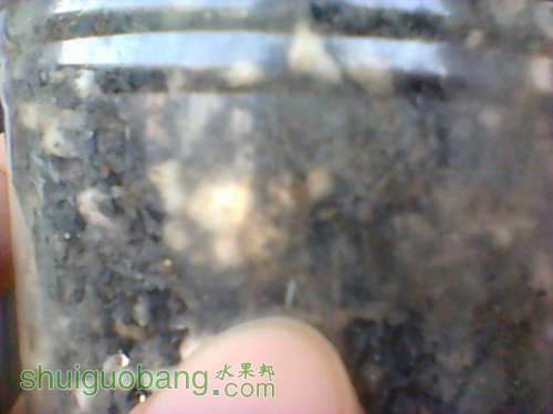 �³����˰׸�