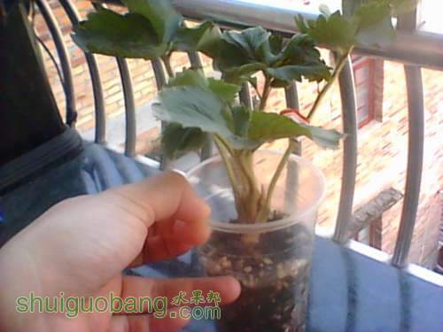 �������ϱ��������