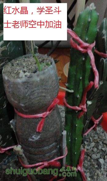 ˮ