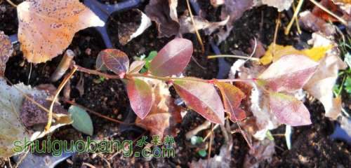 DSCN4722.jpg