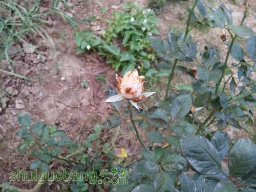 20121019_172657.jpg