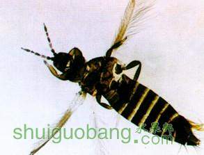 u=3952462518,2927270600&fm=23&gp=0[1].jpg